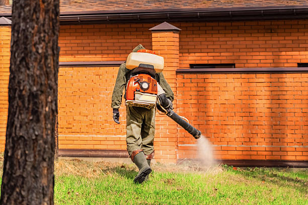 Trusted Cockroach Control service in Williamsville, NY - Nex Pest Control